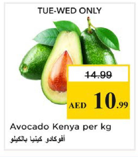 Avocado from Kenya available at نستو هايبرماركت in الإمارات العربية المتحدة , الامارات - رَأْس ٱلْخَيْمَة
