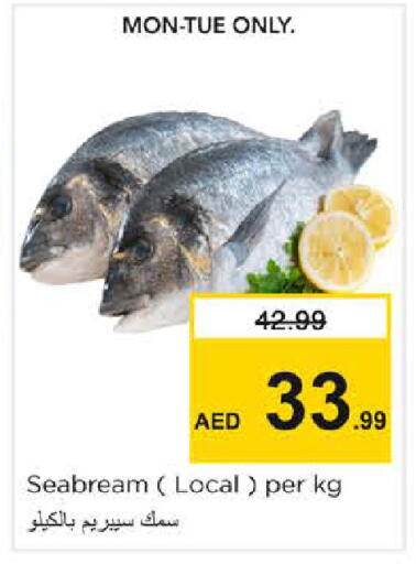 available at Nesto Hypermarket in UAE - Dubai