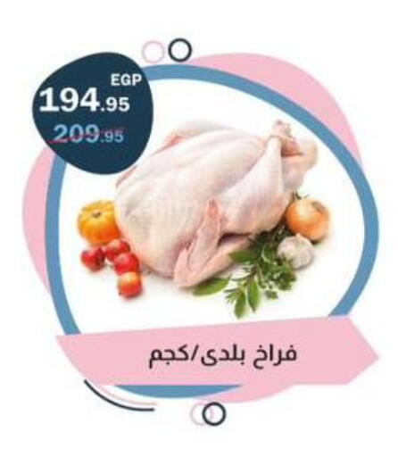 available at فلامنجو هايبرماركت in Egypt - القاهرة