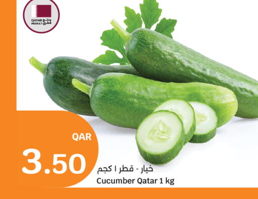 Cucumber from Qatar available at سيتي هايبرماركت in قطر - الشحانية