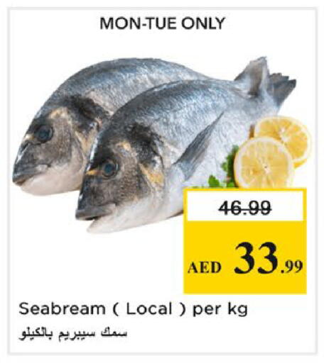 available at Nesto Hypermarket in UAE - Ras al Khaimah
