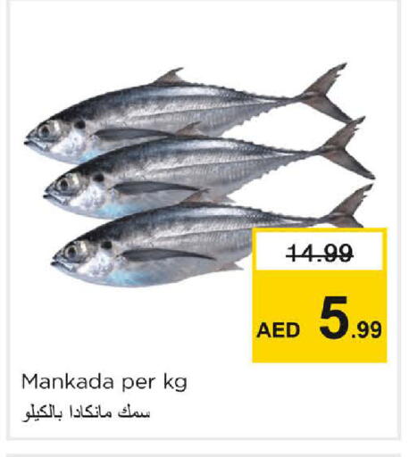 available at Nesto Hypermarket in UAE - Sharjah / Ajman