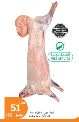 available at سيتي هايبرماركت in قطر - الدوحة