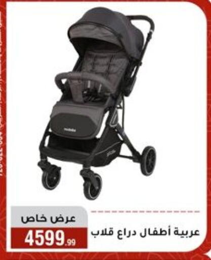 available at Al Morshedy  in Egypt - Cairo