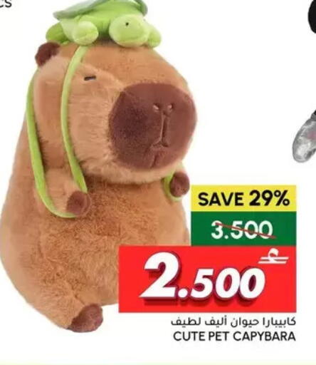 available at الميرة in عُمان - مسقط‎