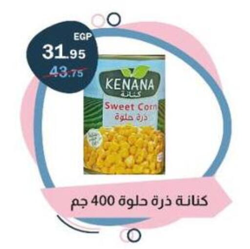 available at Flamingo Hyper Market in Egypt - Cairo