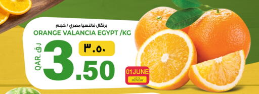 Orange from Valancia Egypt available at السعودية in قطر - أم صلال