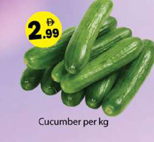 Cucumber available at Gulf Hypermarket LLC in UAE - Ras al Khaimah