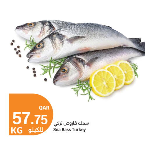 available at سيتي هايبرماركت in قطر - أم صلال