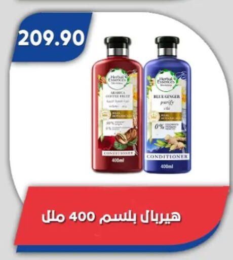 Ginger available at باسم ماركت in Egypt - القاهرة