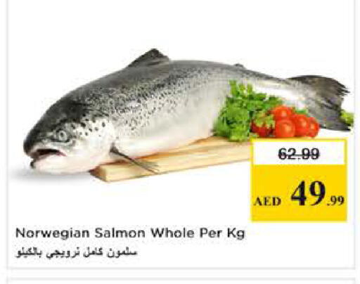 available at Nesto Hypermarket in UAE - Dubai