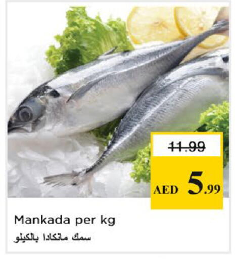 available at Nesto Hypermarket in UAE - Ras al Khaimah
