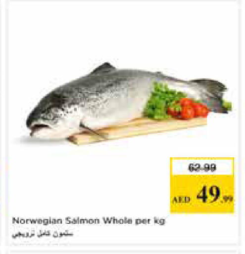 available at Nesto Hypermarket in UAE - Abu Dhabi