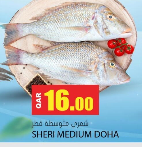 available at جراند هايبرماركت in قطر - الوكرة