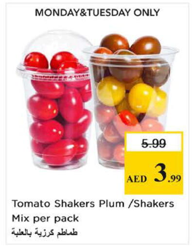 Plum Tomato available at Nesto Hypermarket in UAE - Sharjah / Ajman