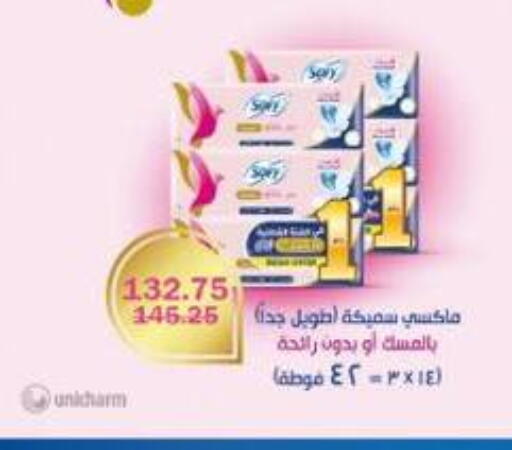 available at Flamingo Hyper Market in Egypt - Cairo
