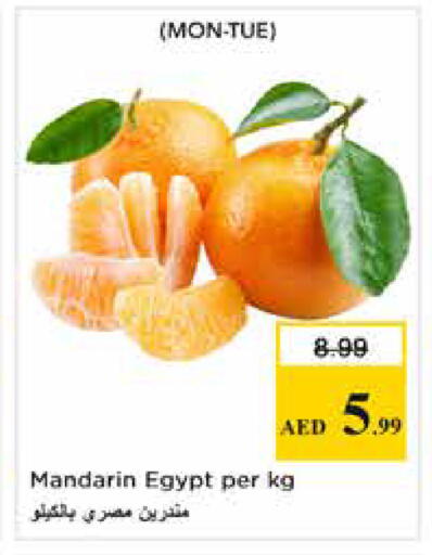 Mandarin from Egypt available at Nesto Hypermarket in UAE - Dubai
