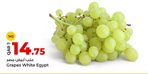 Grapes from Egypt available at روابي هايبرماركت in قطر - الخور
