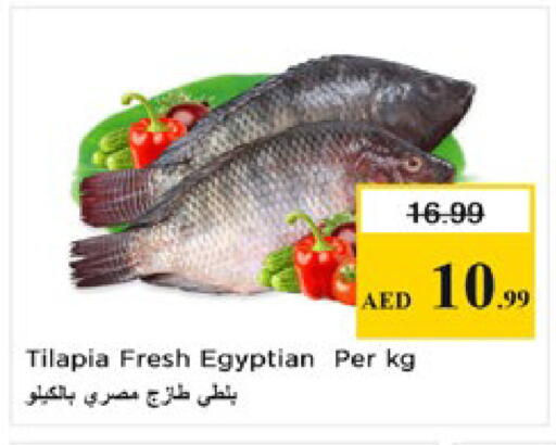 available at Nesto Hypermarket in UAE - Al Ain