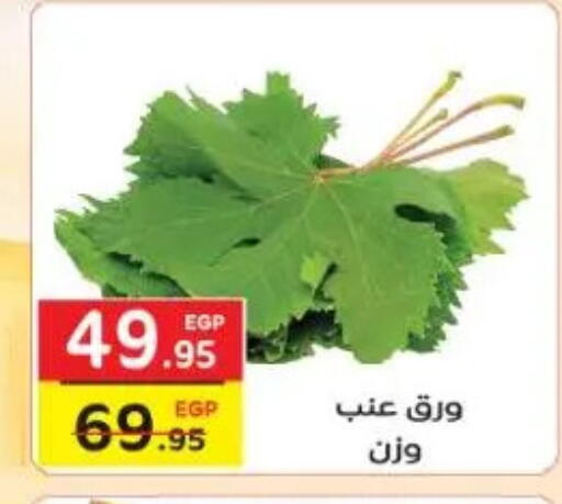 available at Fekra market in Egypt - Cairo
