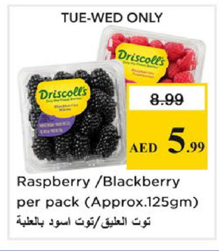 Raspberry Blackberry available at نستو هايبرماركت in الإمارات العربية المتحدة , الامارات - رَأْس ٱلْخَيْمَة