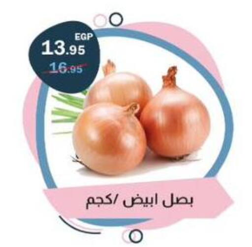available at Flamingo Hyper Market in Egypt - Cairo