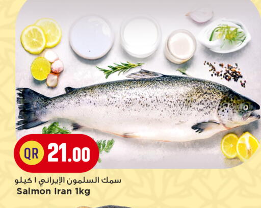 available at مرزا هايبرماركت in قطر - الشحانية