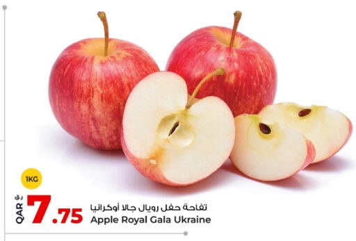 Apple from Ukraine available at روابي هايبرماركت in قطر - الخور