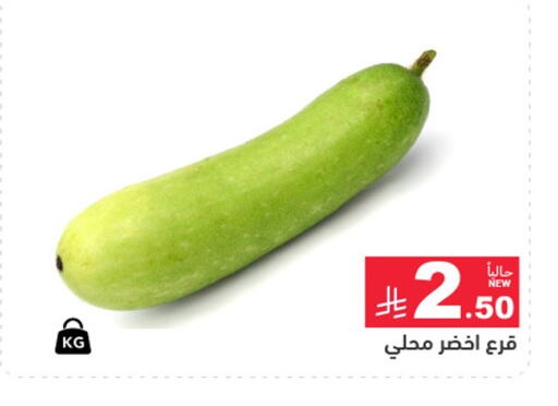 available at أسواق رامز in مملكة العربية السعودية, السعودية, سعودية - المنطقة الشرقية