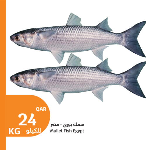 available at سيتي هايبرماركت in قطر - أم صلال