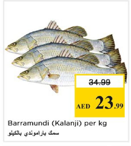 available at Nesto Hypermarket in UAE - Ras al Khaimah
