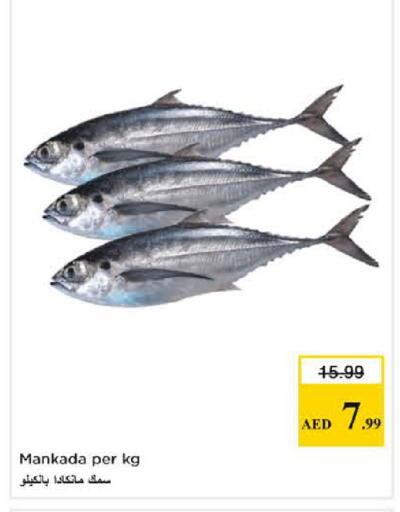 available at نستو هايبرماركت in الإمارات العربية المتحدة , الامارات - الشارقة / عجمان