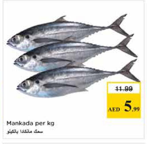 available at Nesto Hypermarket in UAE - Dubai