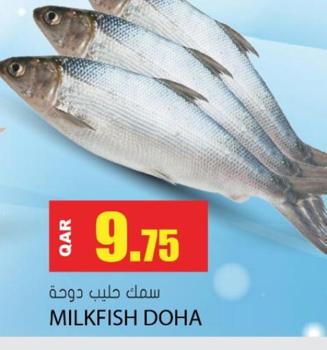 available at جراند هايبرماركت in قطر - الوكرة