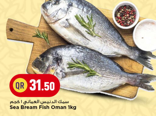available at مرزا هايبرماركت in قطر - الشحانية