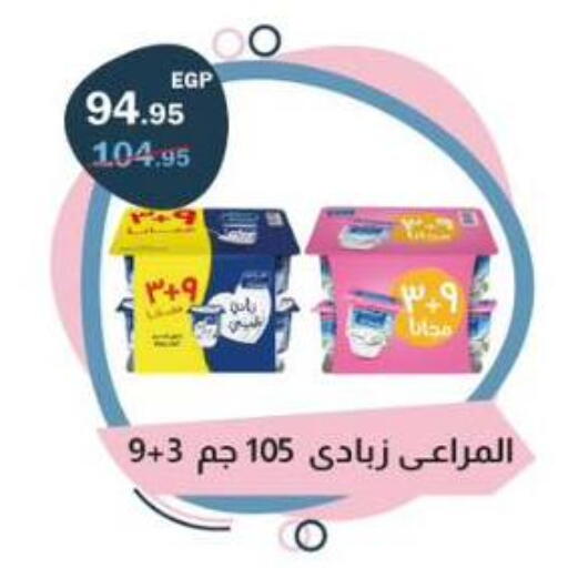 available at Flamingo Hyper Market in Egypt - Cairo