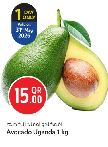 Avocado from Uganda available at سفاري هايبر ماركت in قطر - أم صلال