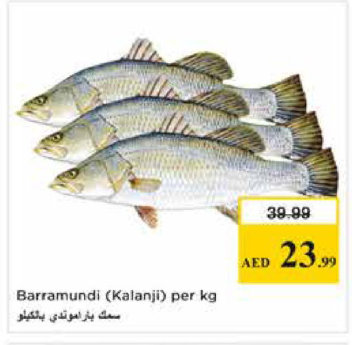 available at Nesto Hypermarket in UAE - Dubai
