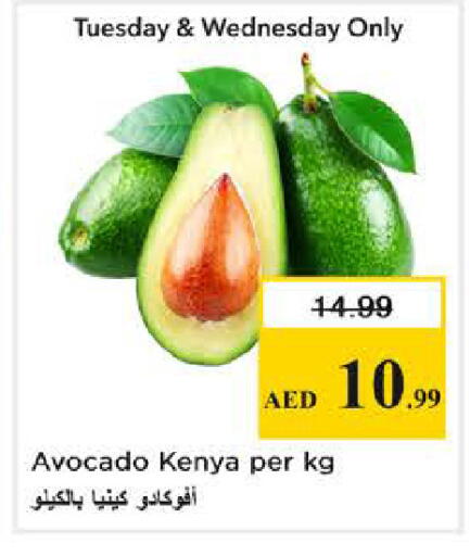 Avocado from Kenya available at Nesto Hypermarket in UAE - Sharjah / Ajman