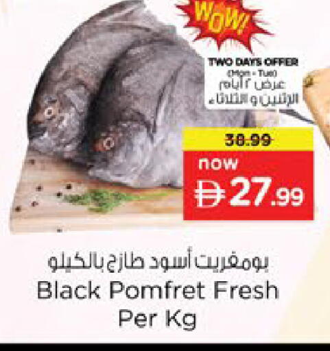 available at Nesto Hypermarket in UAE - Ras al Khaimah