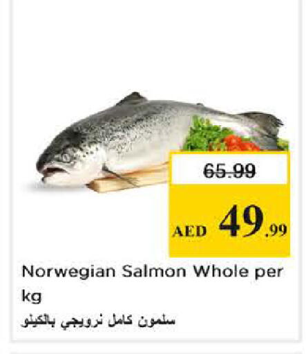 available at نستو هايبرماركت in الإمارات العربية المتحدة , الامارات - الشارقة / عجمان