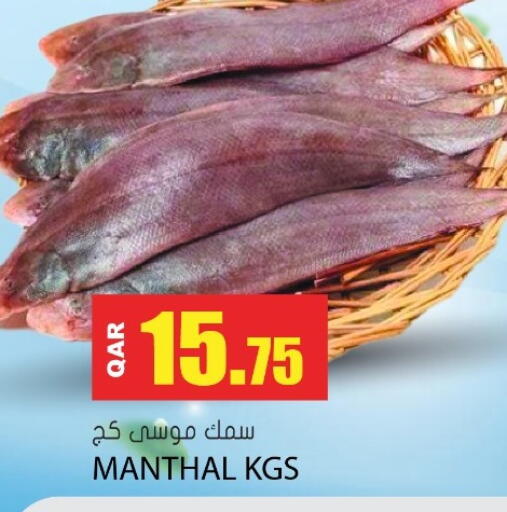 available at جراند هايبرماركت in قطر - الوكرة