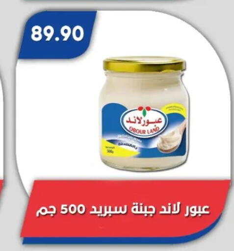 available at باسم ماركت in Egypt - القاهرة