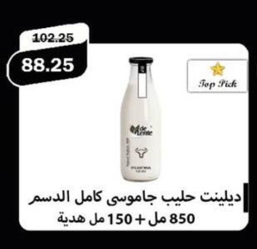 available at Flamingo Hyper Market in Egypt - Cairo