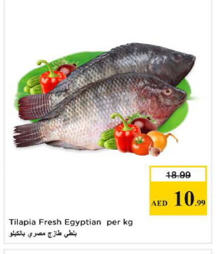 available at نستو هايبرماركت in الإمارات العربية المتحدة , الامارات - الشارقة / عجمان