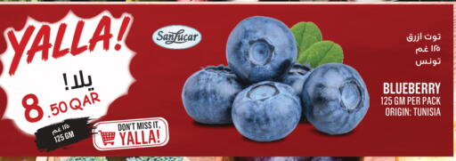 Blueberry BlueBerry from Tunisia available at مونوبريكس in قطر - الشحانية