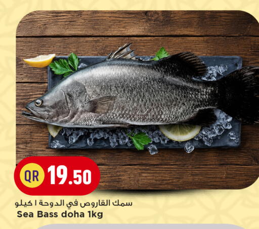available at مرزا هايبرماركت in قطر - الشحانية