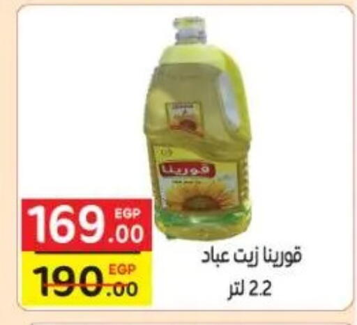 available at Fekra market in Egypt - Cairo
