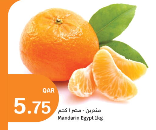 Mandarin from Egypt available at City Hypermarket in Qatar - Doha