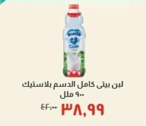 available at خير زمان in Egypt - القاهرة